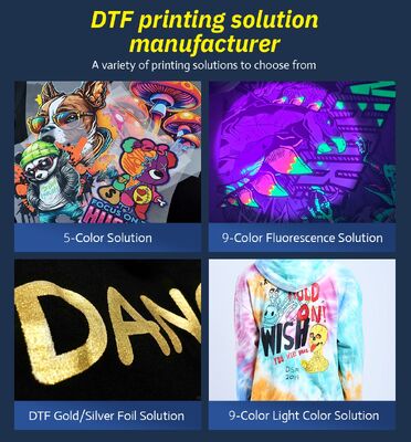 Ingani All in One 30cm I1600 Small High Resolution DTF T-shirt Textile Fabric Printer With Shaker Heater